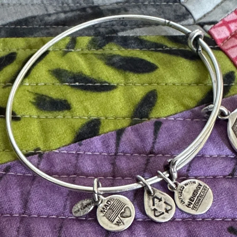 Alex and Ani Silver Tone Charm Bracelet with Engraved Discs Letter E